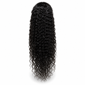 Water Curly Wig